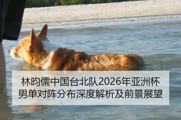 林昀儒中国台北队2026年亚洲杯男单对阵分布深度解析及前景展望